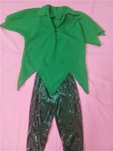 Kids Costumes to Hire - Peter Pan CHILD